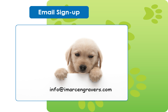 iMARC Email Sign-Up.