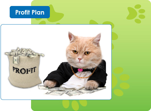 profit plan