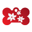 Floral Lily Pet Tags