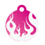 Punk Flame Pet Tags