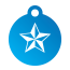 Punk Nautical Star Pet Tags