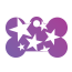 Punk Star Burst Pet Tags