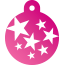 Punk Star Burst Pet Tags