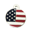 Taggit Patriot Circle Shaped Pet Tag.